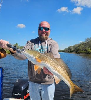 Tampa Bay’s best fishing moments