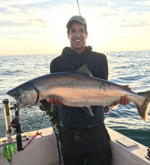 Lake Ontario Chinook salmon catch