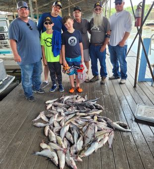 Guided trips, zero stress.