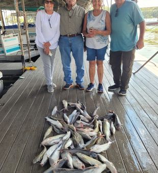 Impressive West Tawakoni channel catfish haul!