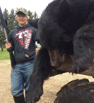 Massive black bear, proud hunter.