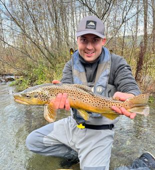 Reeled in Cowichan finest Browns