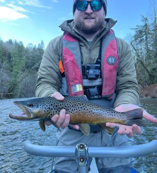 Cutthroat Trout Wonder In Cowichan Waters