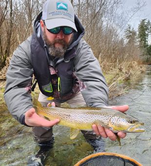 Brown Trout Elegance In Lake Cowichan, BC
