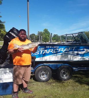 Walleye Catch from Lake Erie