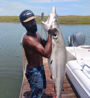 Shark Haul! -Corpus Christi, TX.