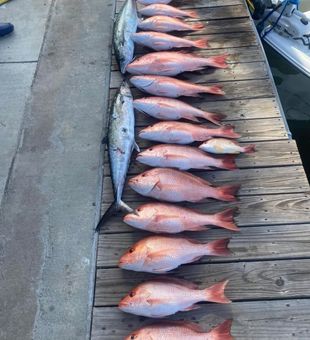 Snapper Dominance! -Corpus Christi, TX.