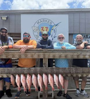A few Snappers never disappoint. -Corpus Christi, TX.