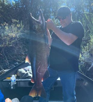 Amazing Salmon reeled in the waters of Oregon!