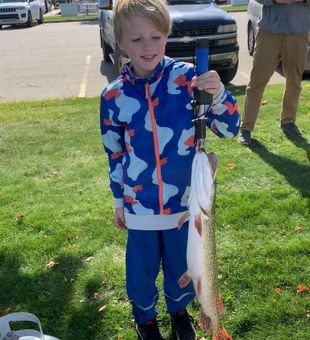 Walleye wonders await, cast away! Kid-friendly