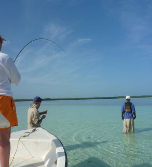 Catching memories in paradise. 