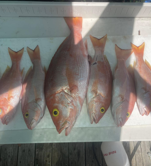 Reels spinning, lines tight—your Florida Keys nearshore fishing adventure starts here.