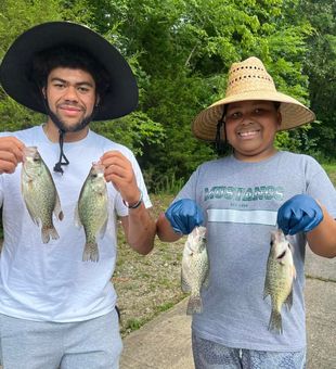 A top spot for crappie fishing in Kentucky!