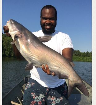 Lake Barkley: A top spot for catfish fishing!