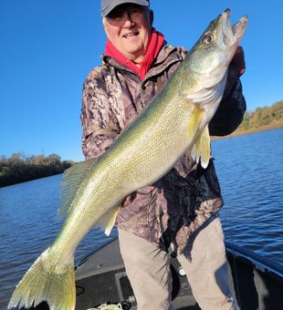 Another big walleye caught!