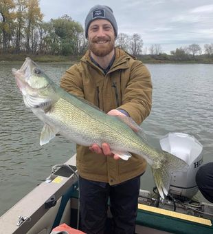 Walleye caught on the perfect cast