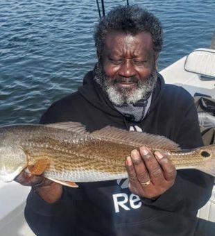 Redfish: Thrilling Coastal Pursuit