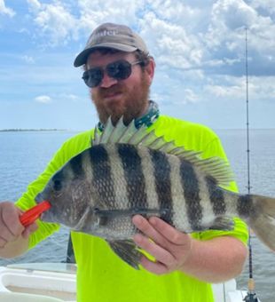 Sheepshead: Coveted Inshore Catch