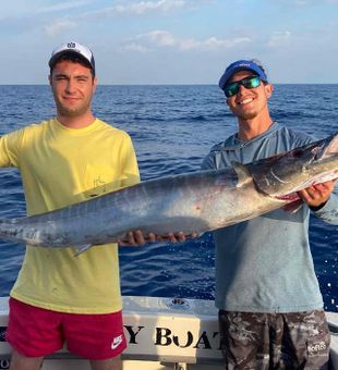 Great Barracuda: Coastal Majesty Unleashed
