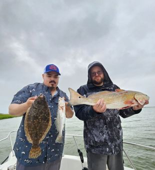 Variety : Excitement -Texas, TX.