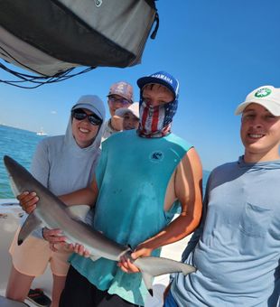 Shark Day! -Texas, TX.