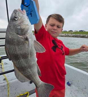 Galveston never fails to amuse kids with fish.