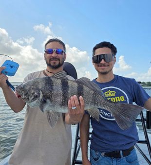 Big sheepshead that made our lines tight