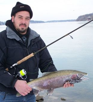 Rainbow Trout Catch in Fishing Lower Niagara River