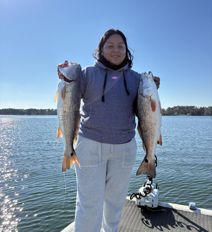 Nice pair of redfish using light tackle and jigging techniques in Norfolk waters!