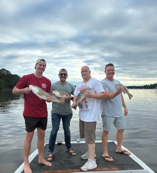 Solid Redfish Action