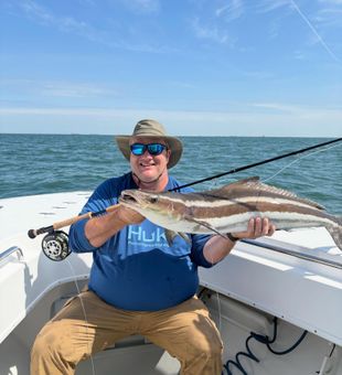 Beautiful Norfolk VA cobia makes for an epic catch!
