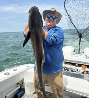 Beautiful Norfolk VA cobia makes for an outstanding catch!