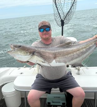 Norfolk VA cobia bringing the heat!