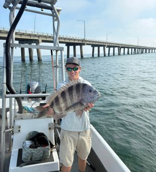 Big Sheepshead - Virginia Beach, VA.