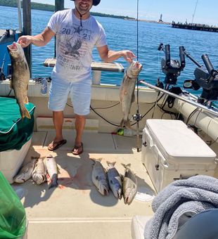 Hard-fighting King Salmon action!