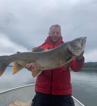 Lake Trout magic on the line!