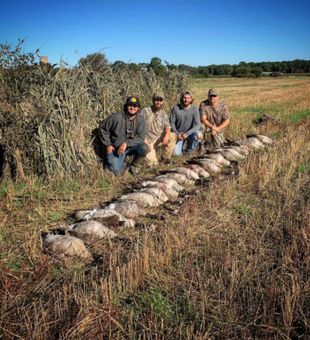Michigan Hunting for Waterfowl