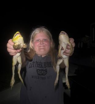 Proud bullfrog gigging catch