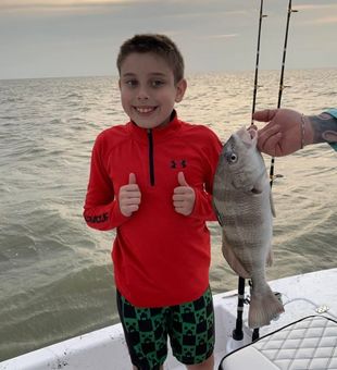 Black Drum in Falfurrias, TX