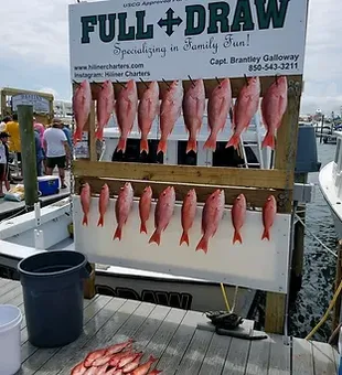 2023 Red Snapper Season Await