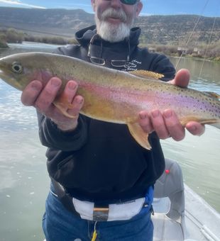 Beautiful New Mexico rainbow trout makes for perfect day!