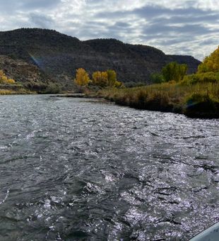 Teeming River  - Navajo Dam, NM.