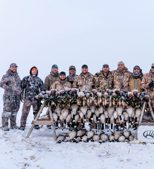 Duck calls echoing through Colorado skies