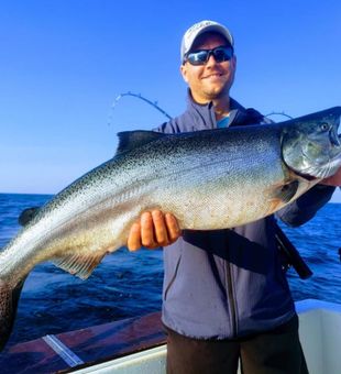 Salmon in Carthage, NY