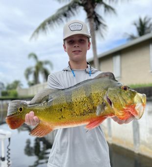 Delray Beach Fishing Charters Bass catch!