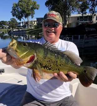 Bass Trophy in Delray Beach Fishing Charters