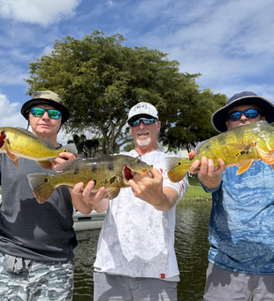 Caught some nice ones on this beautiful day!