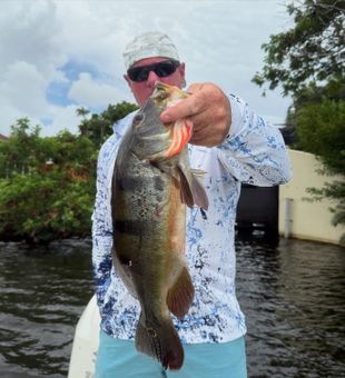 Peaceful mornings and fishing lines in Delray.