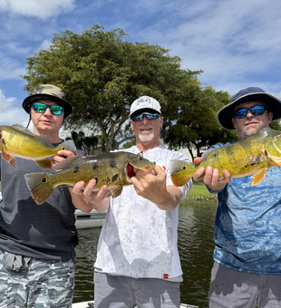 Landed a few good ones by the lake.