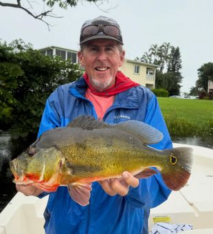 Another solid bass in Delray